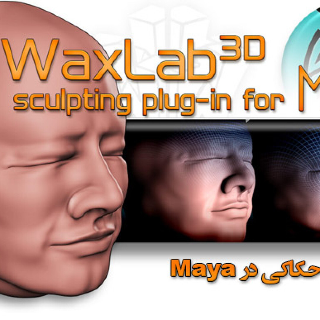 waxlab-overview