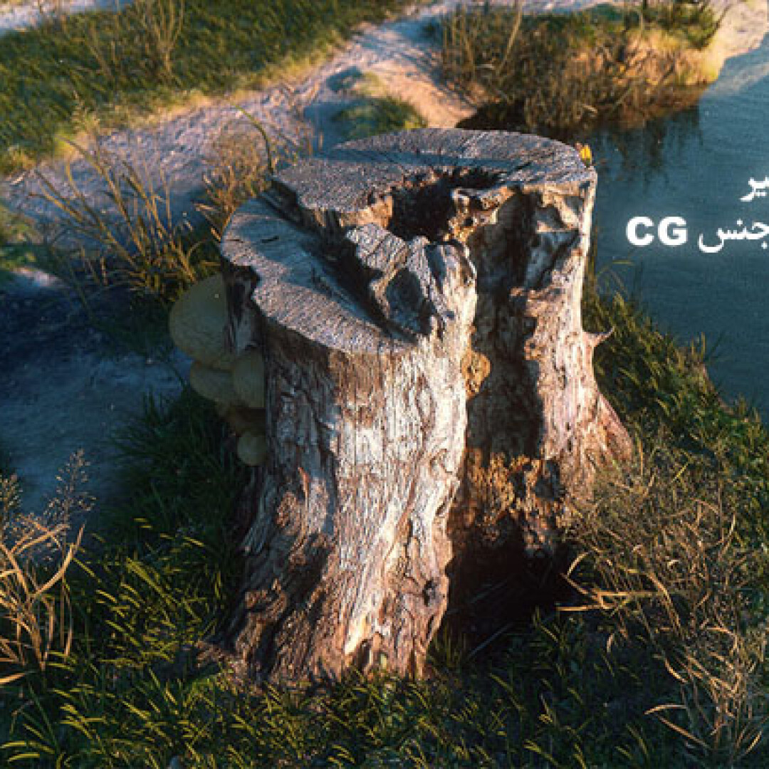 carbon-scatter-overview