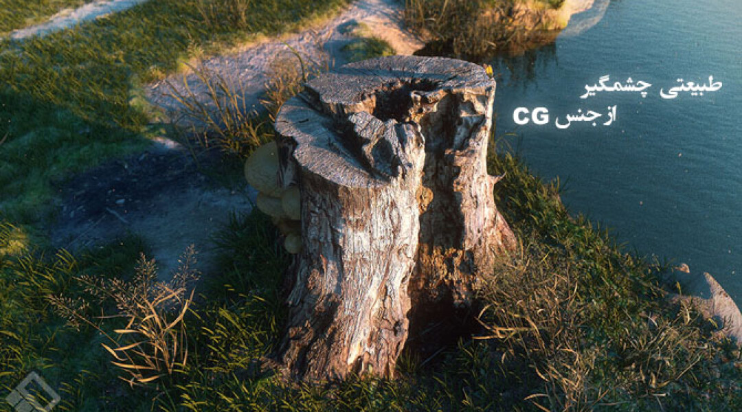 carbon-scatter-overview