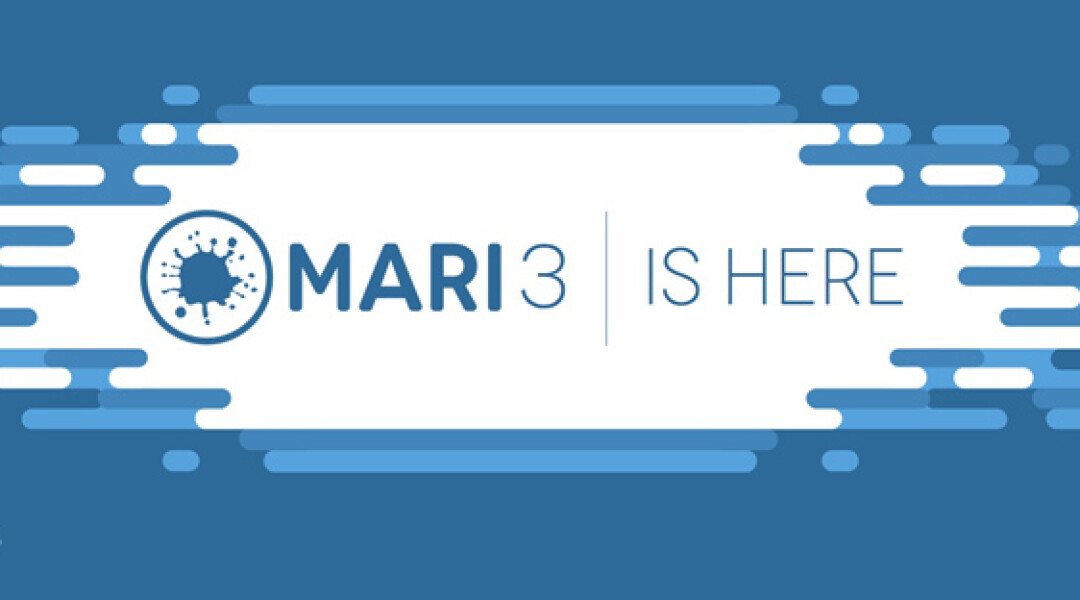 mari-3-released