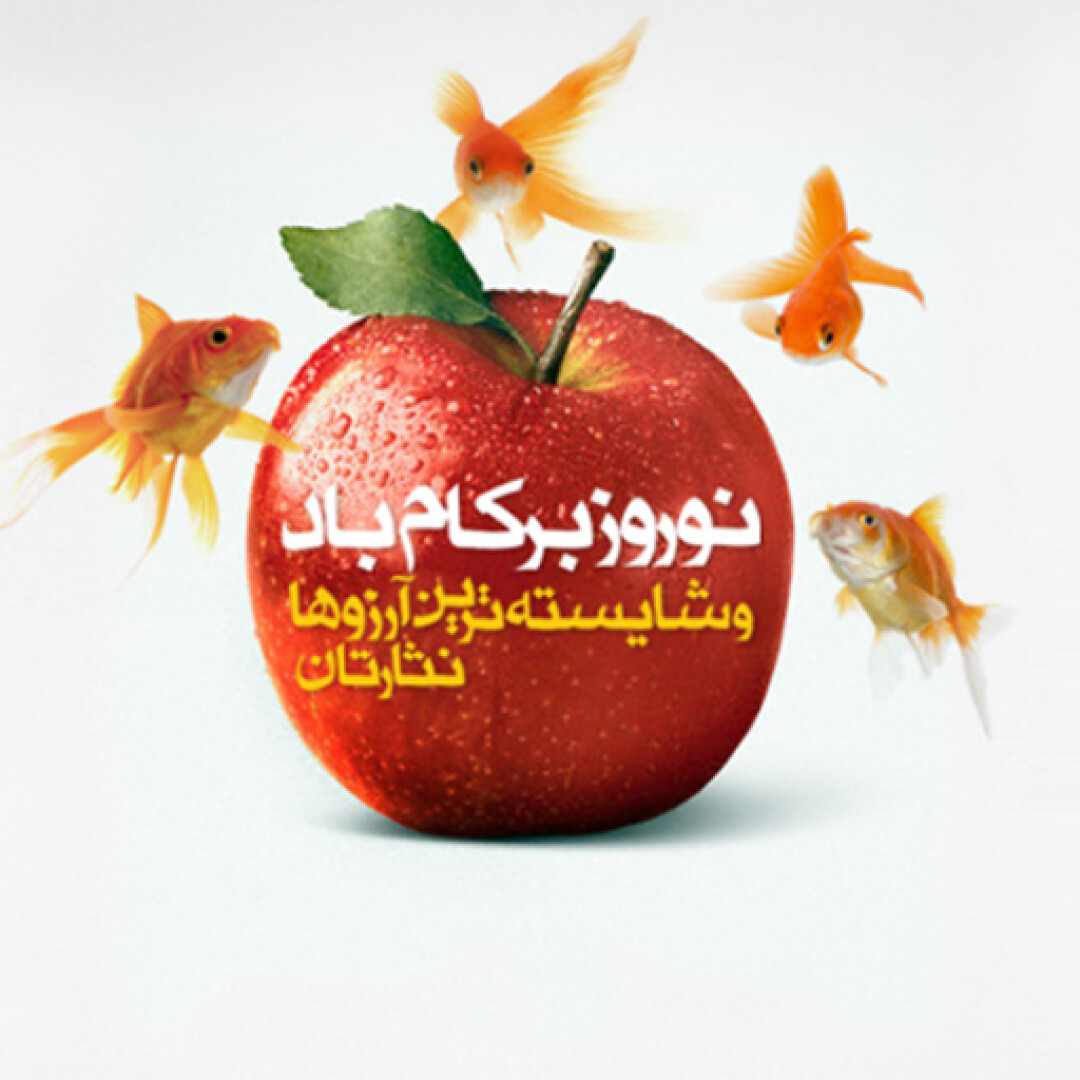 سال نو مبارک (نگاهی به سال 95 و برنامه های 96)
