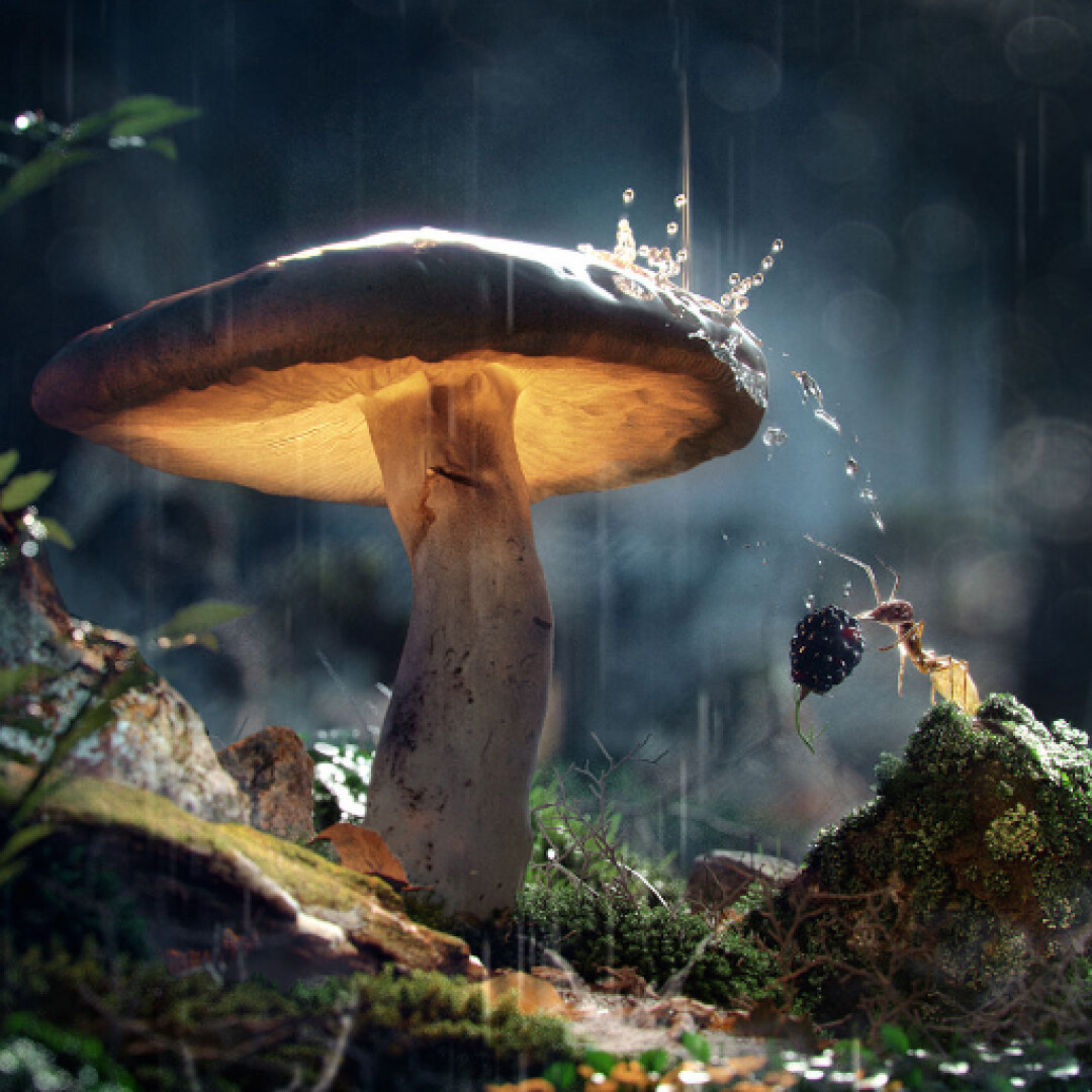 انجین Corona Renderer 3 برای 3ds Max عرضه شد