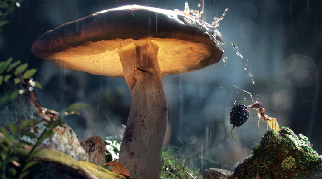 انجین Corona Renderer 3 برای 3ds Max عرضه شد