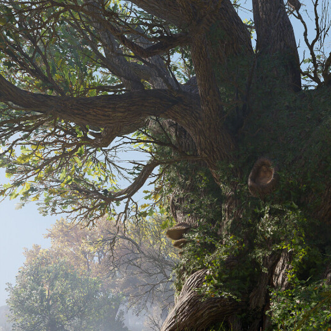 نرم افزار SpeedTree 9 منتشر شد