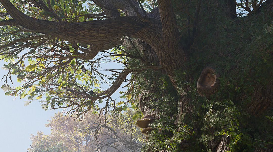 نرم افزار SpeedTree 9 منتشر شد