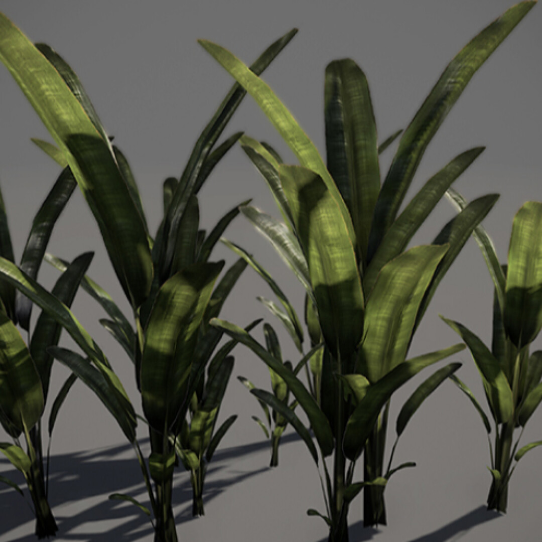 کنترل کامل یک گیاه (نخل) در Blender