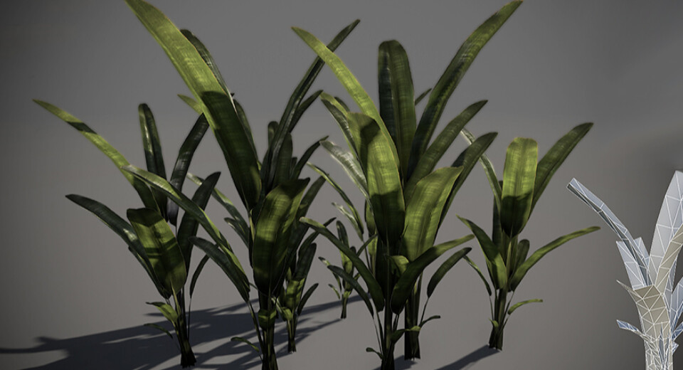 کنترل کامل یک گیاه (نخل) در Blender