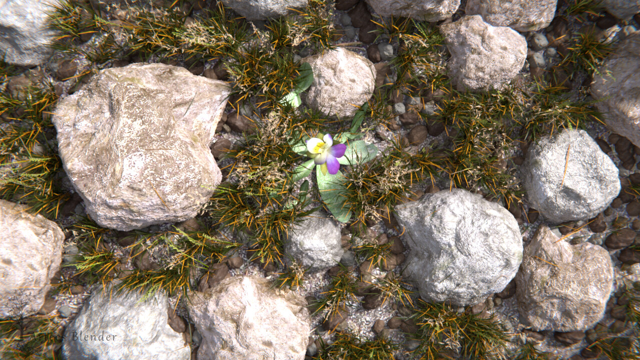 گل کوهی(Blender) - تصویر 3181