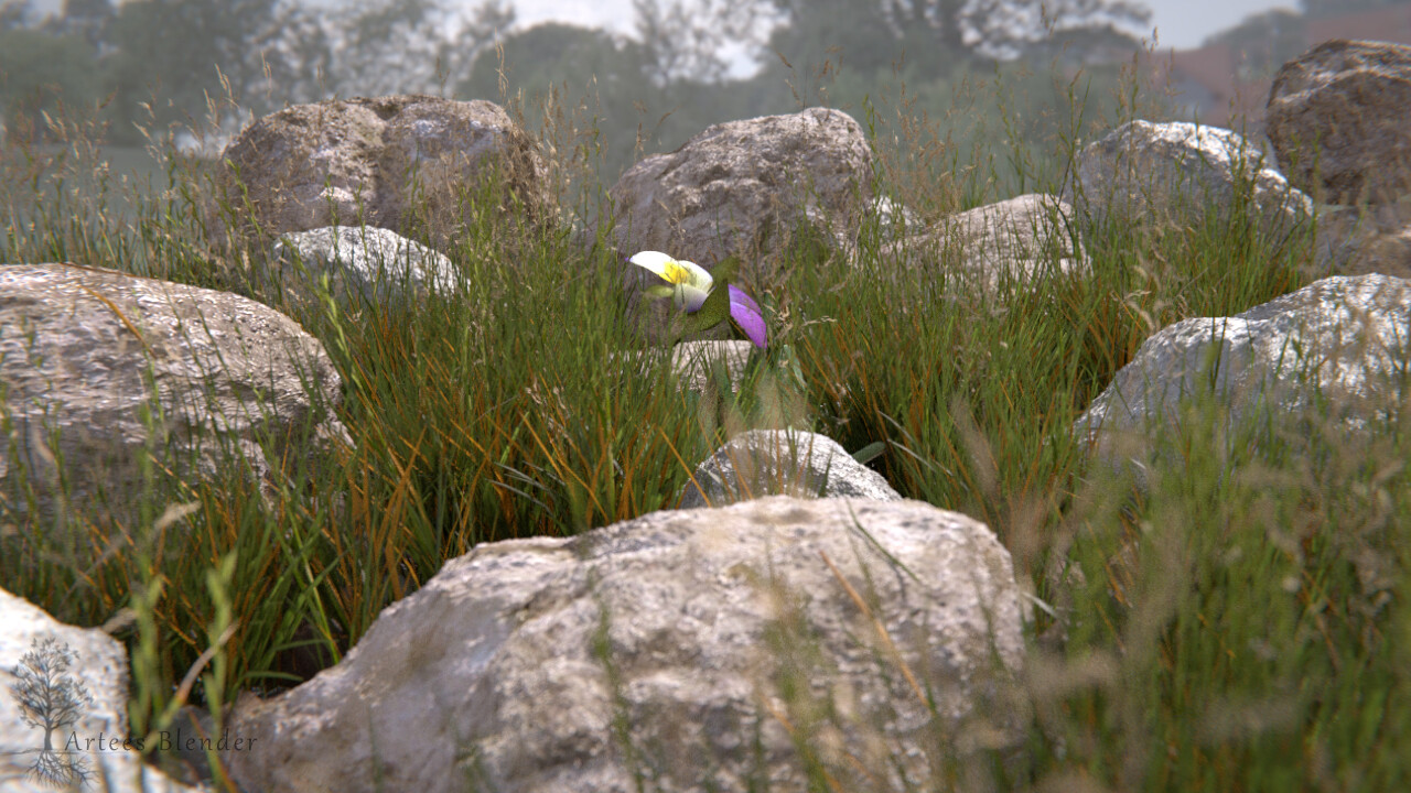 گل کوهی(Blender) - تصویر 3183