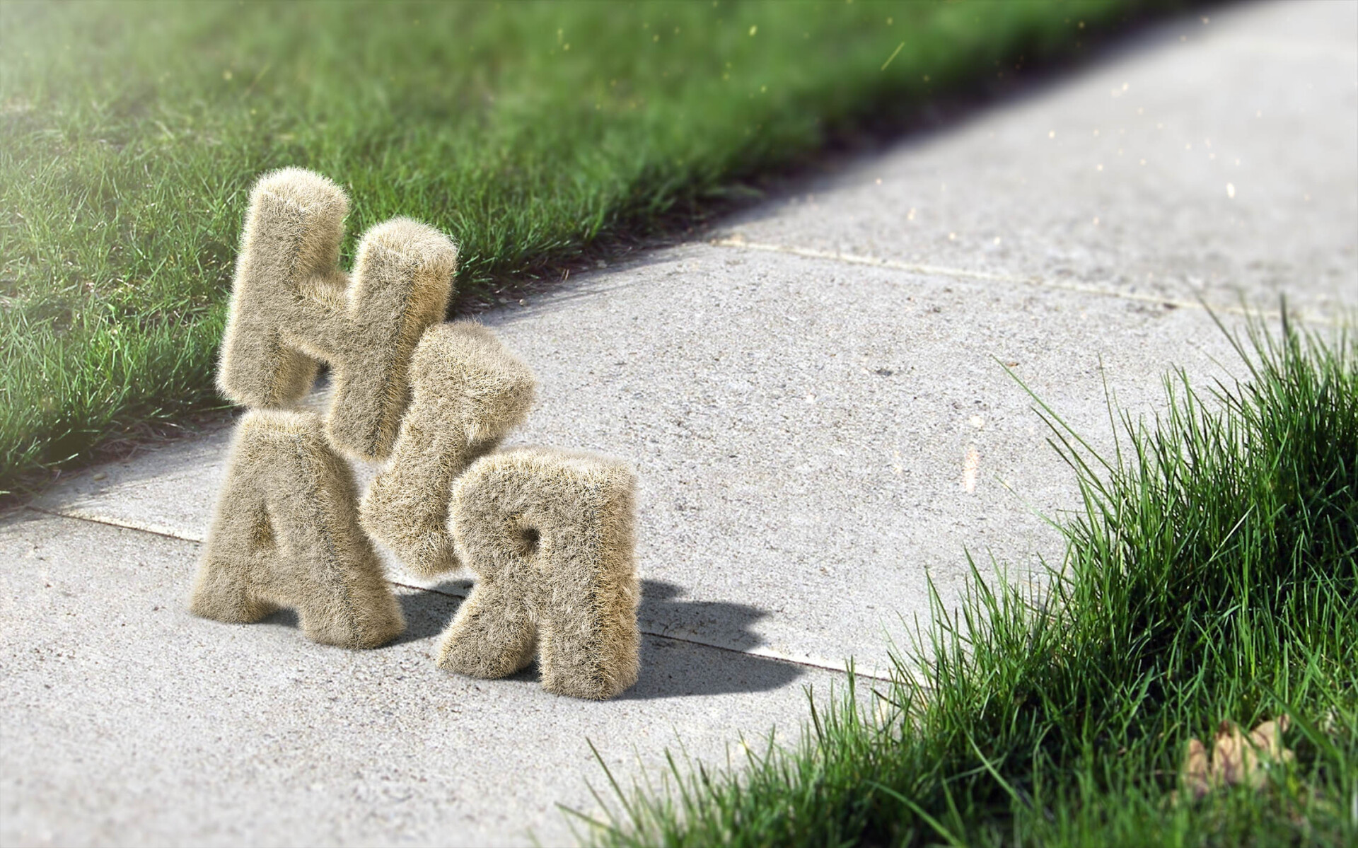 hair - تصویر 5240