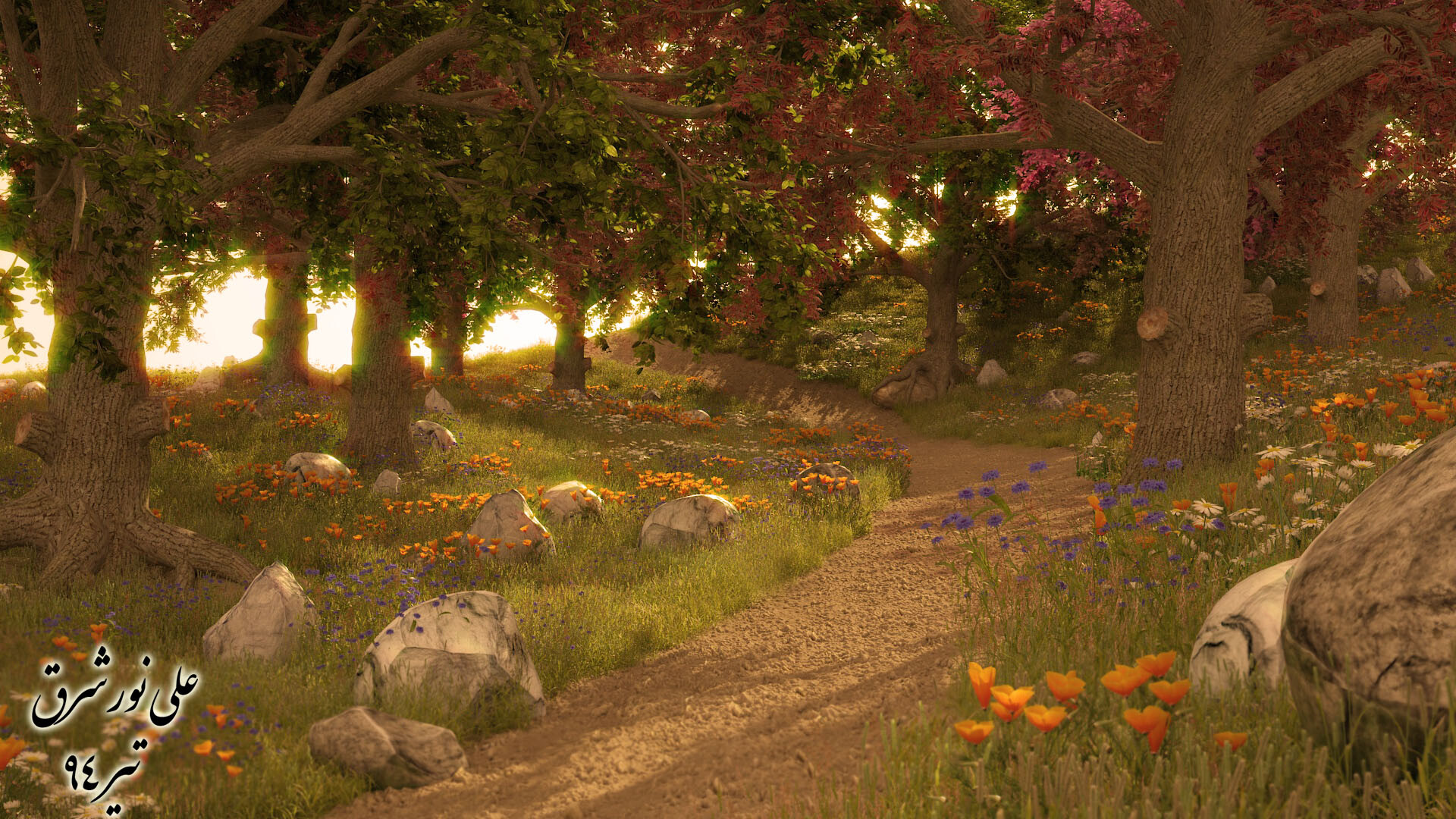 به سوی خورشید...! - تصویر 3054