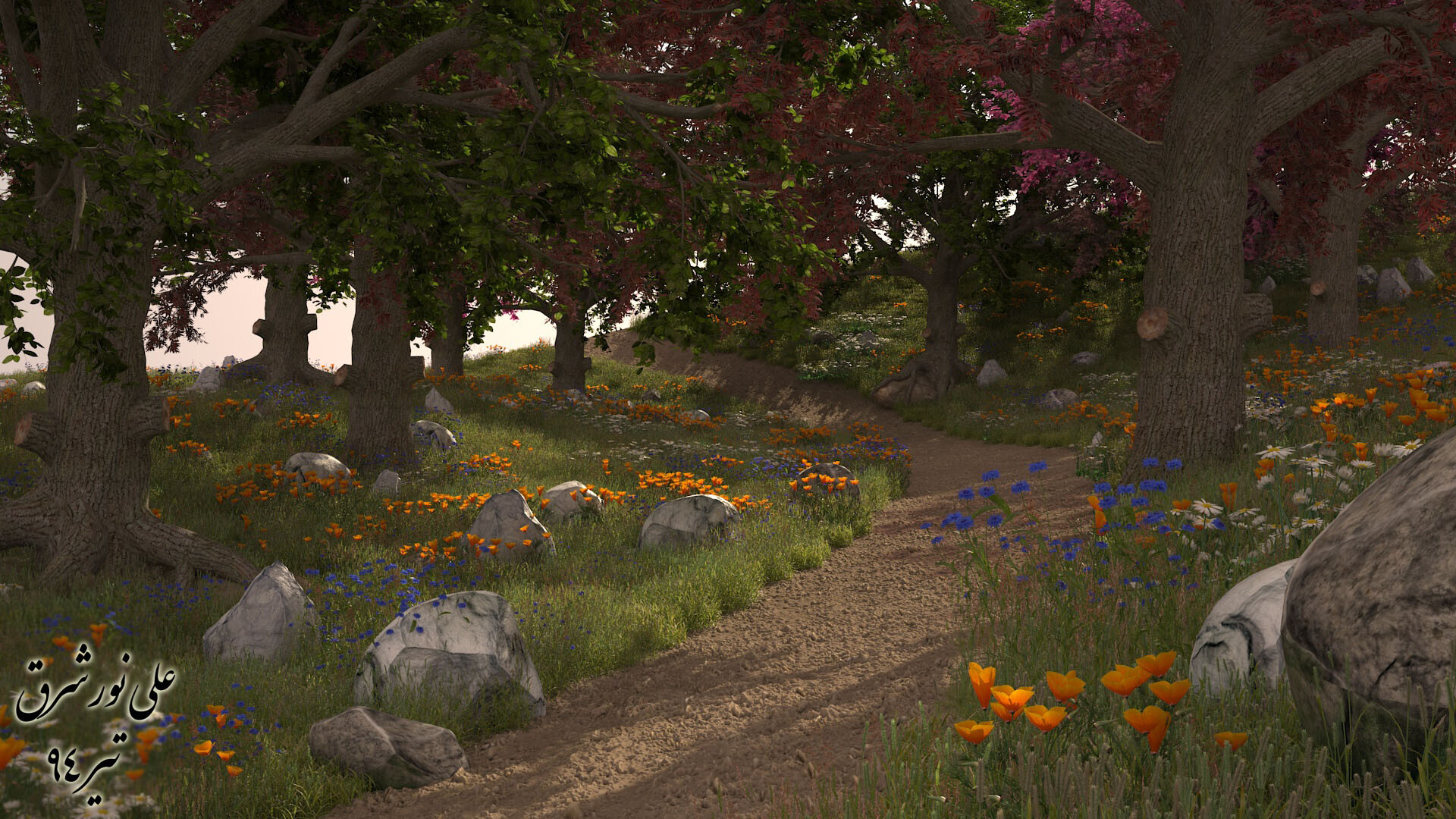 به سوی خورشید...! - تصویر 3055