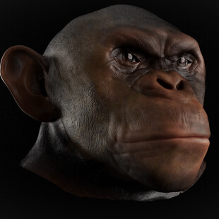 نمونه کار تمرینی  زیبراش