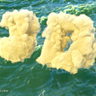 شبیه سازی حجمی