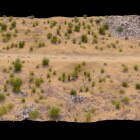 دشت و بیابان