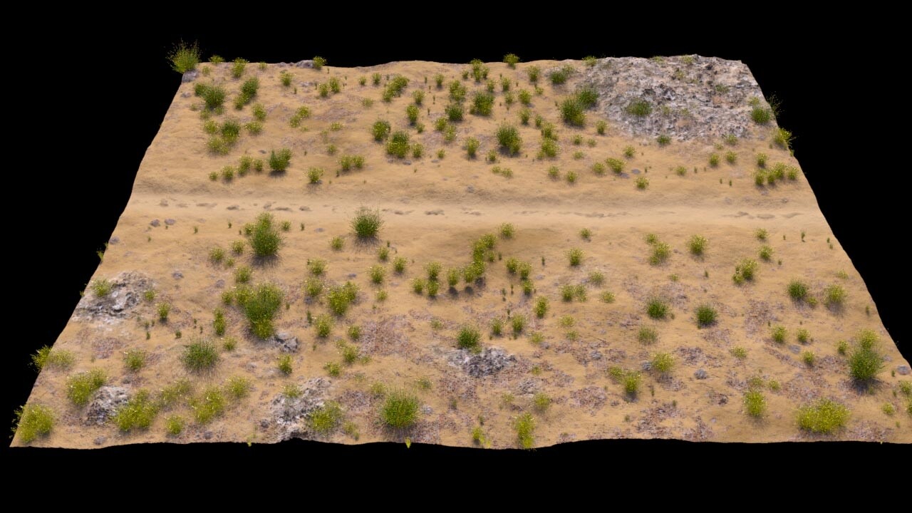 دشت و بیابان - تصویر 2427