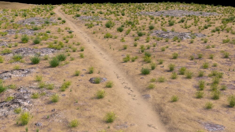 دشت و بیابان - تصویر 2429