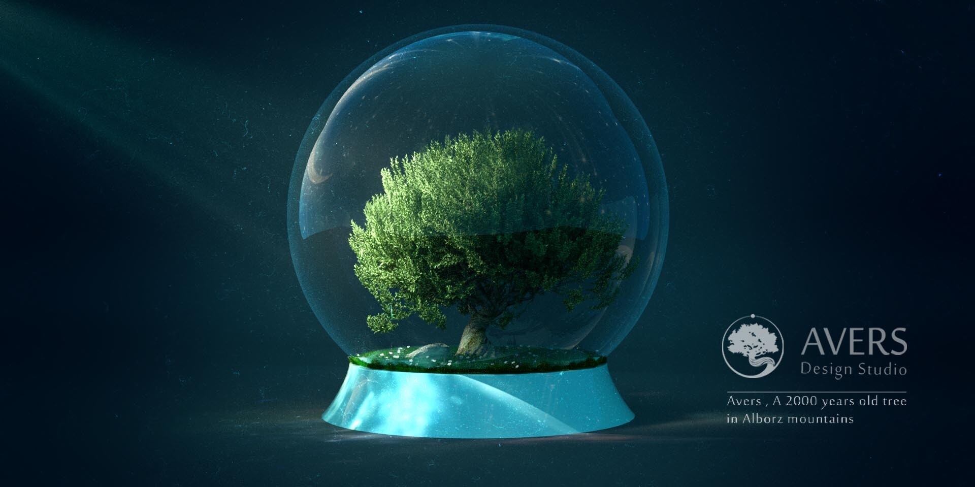 طراحی چند شات برای استودیو طراحی اورس - تصویر 2467