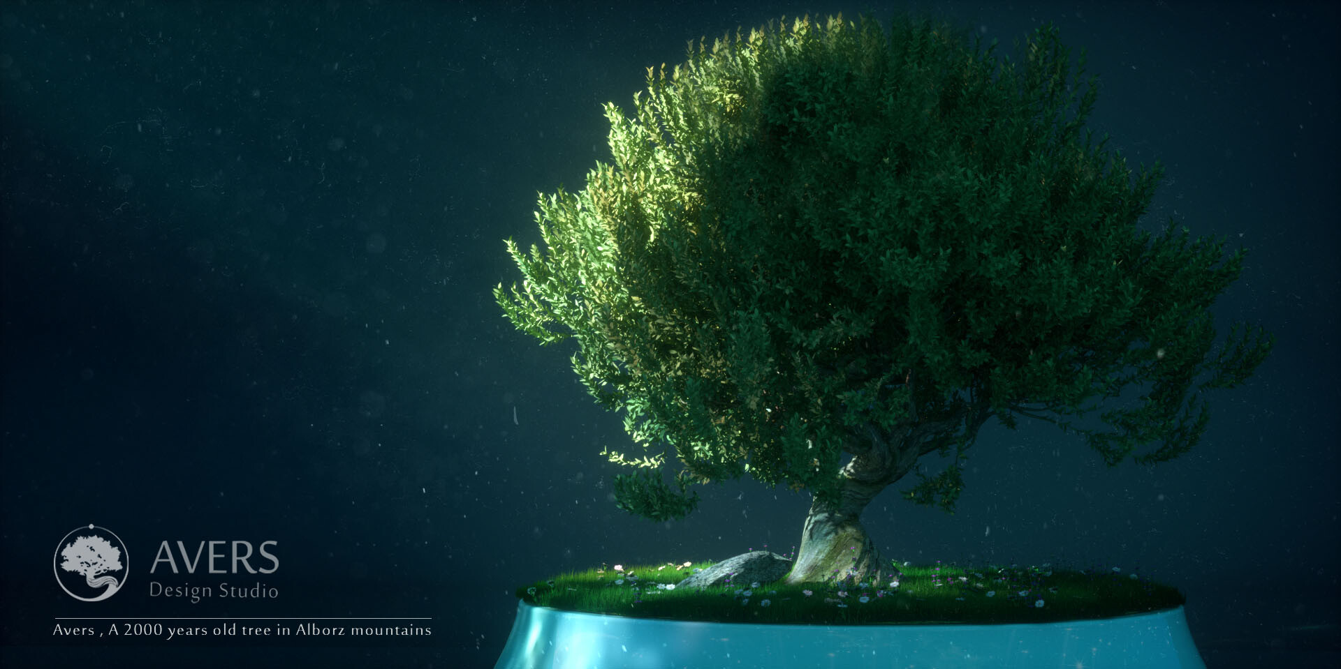 طراحی چند شات برای استودیو طراحی اورس - تصویر 2468