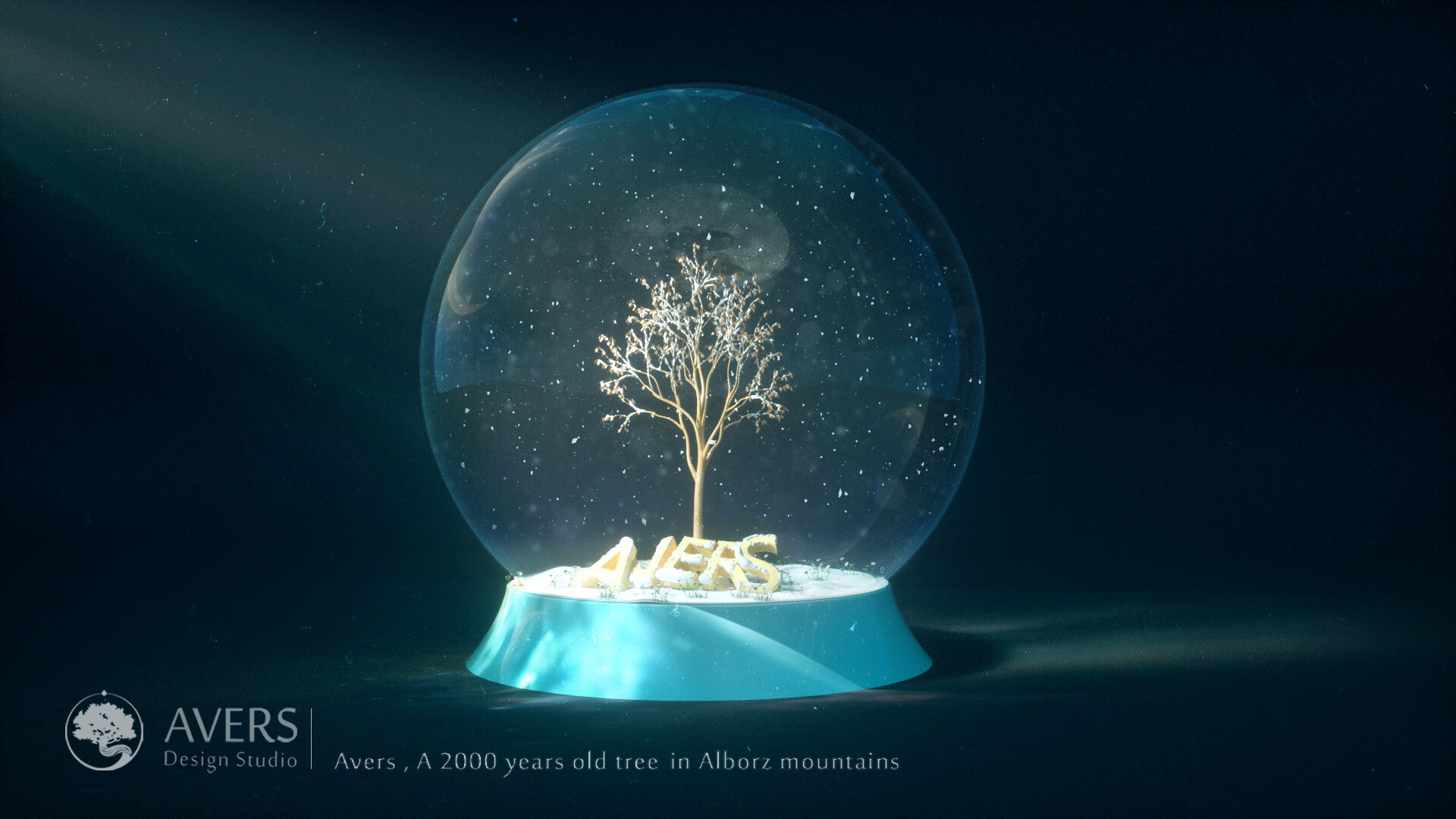 طراحی چند شات برای استودیو طراحی اورس - تصویر 2470