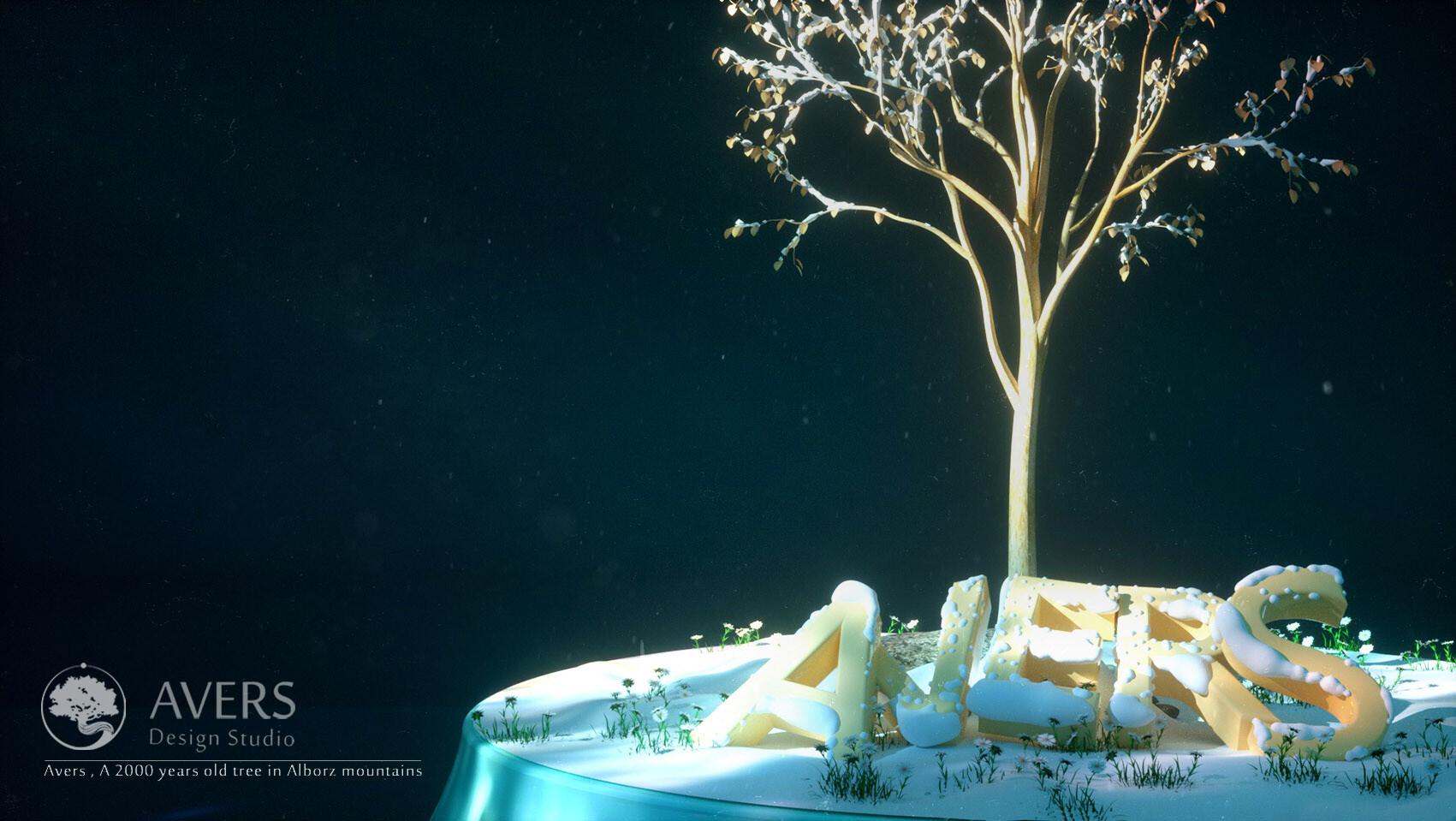 طراحی چند شات برای استودیو طراحی اورس - تصویر 2472