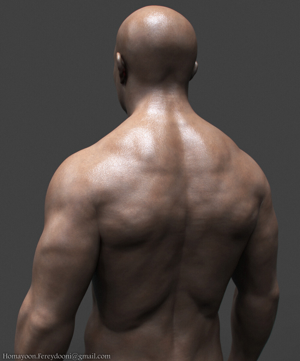 Speed Sculpt - تصویر 2421