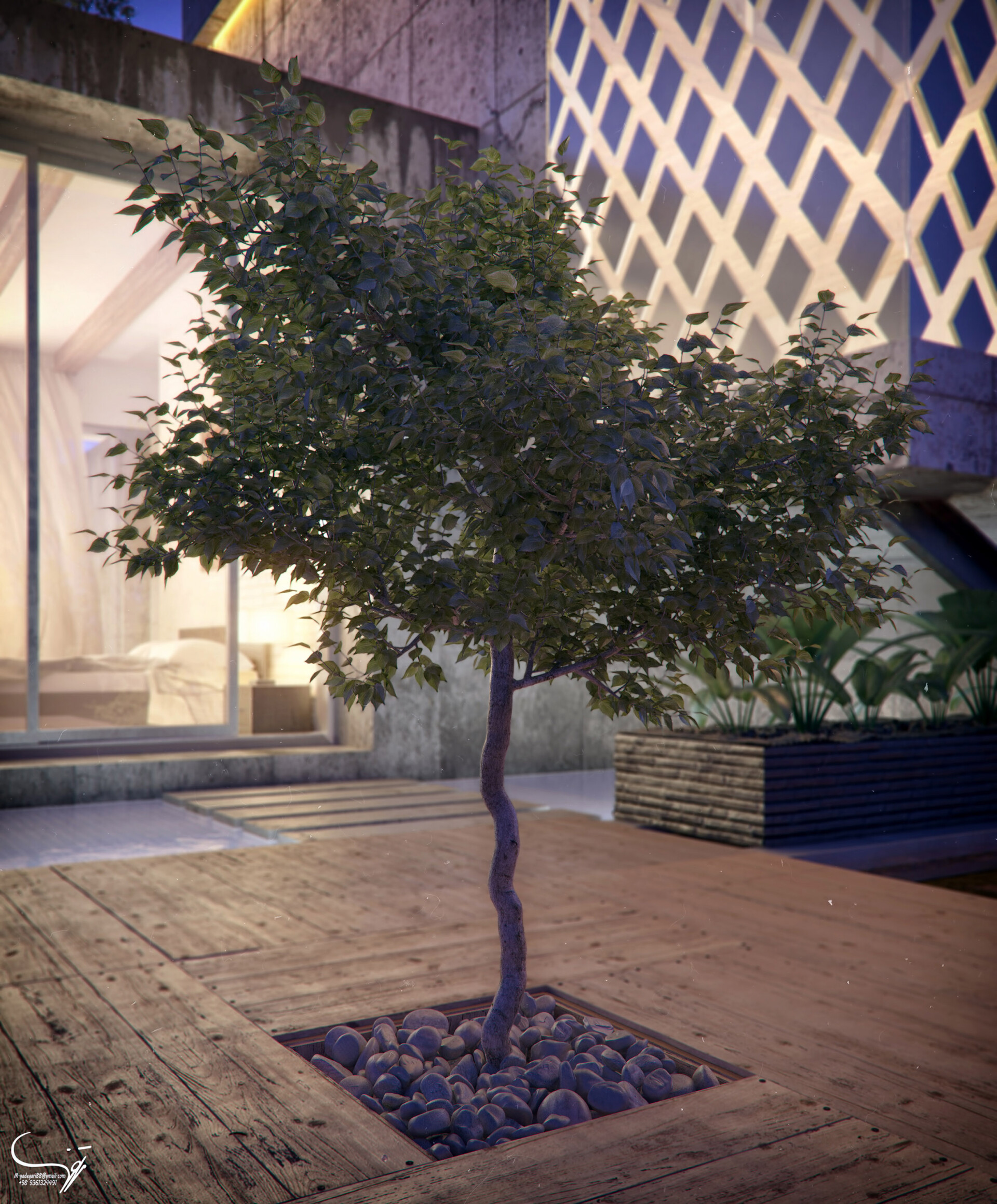 My Vila - تصویر 2221