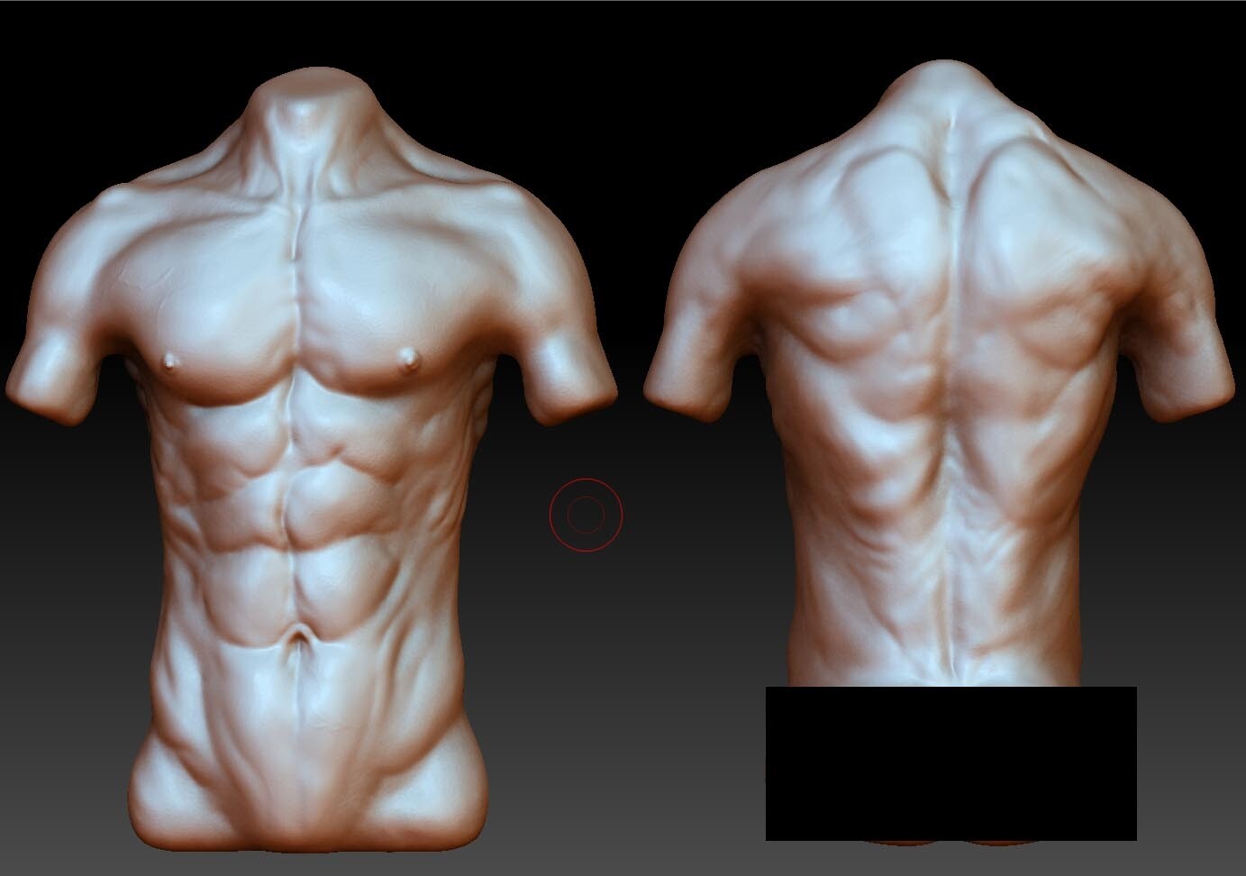 Male Torso - تصویر 2203