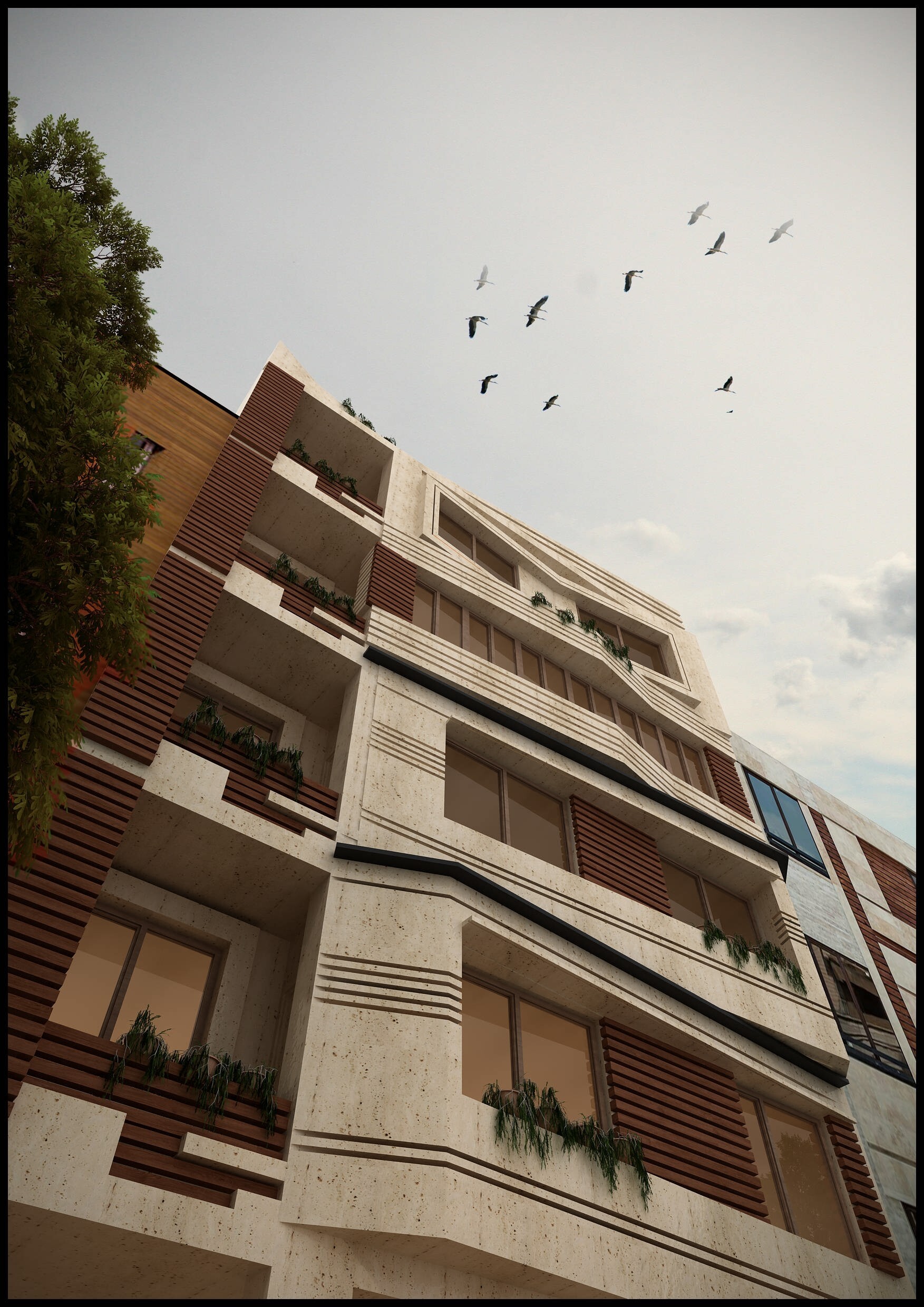 نما مدرن 2 - تصویر 2130