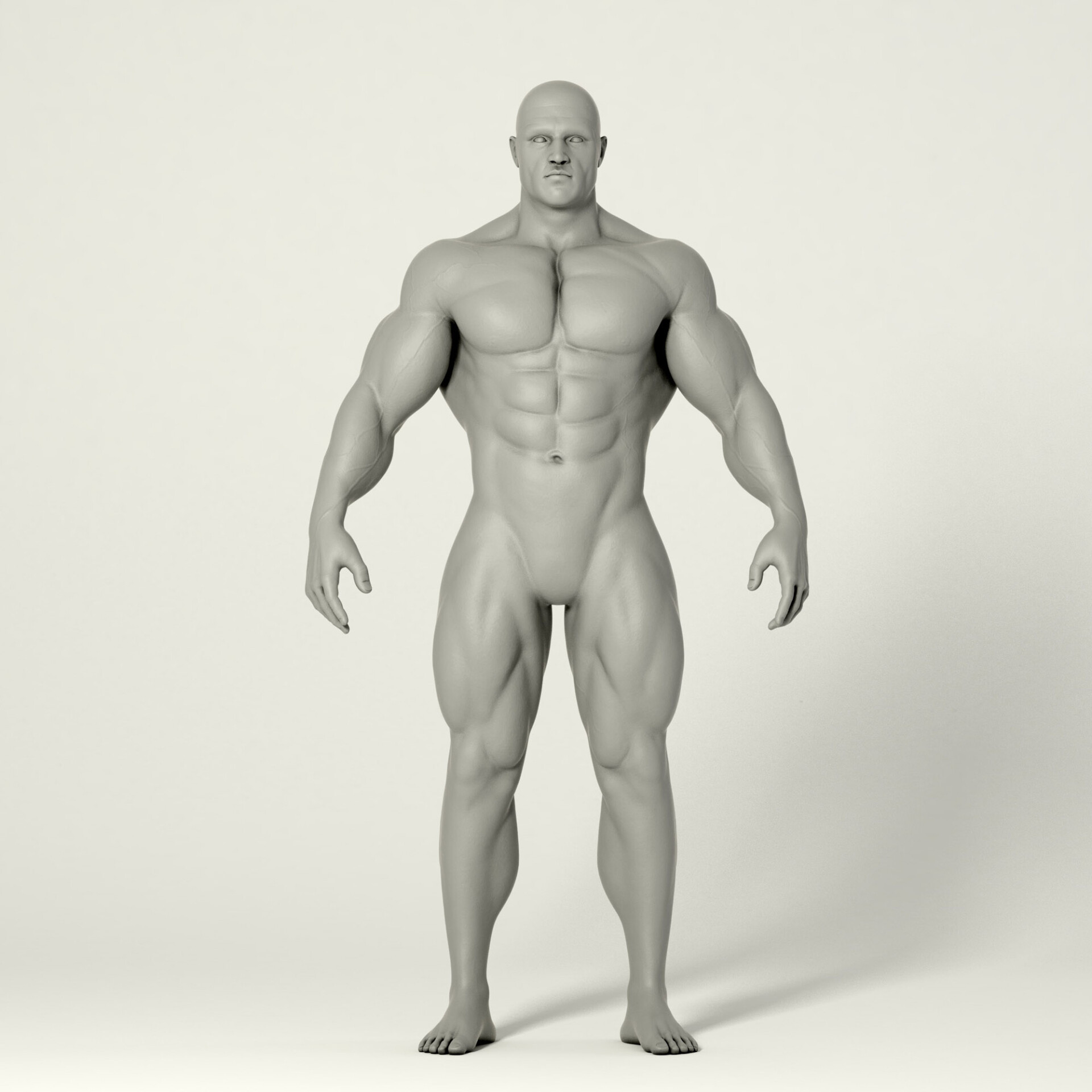 آناتومی - تصویر 2145