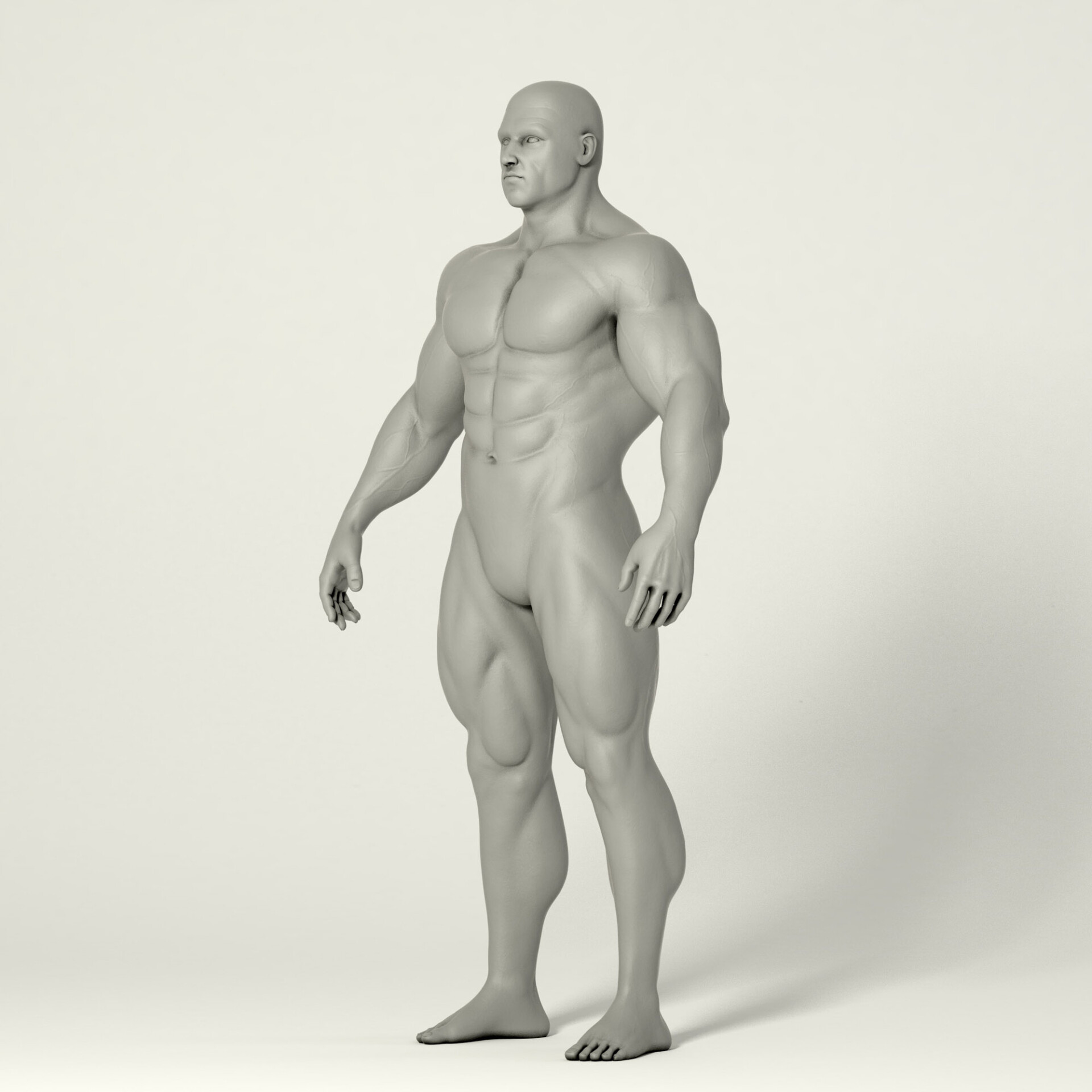 آناتومی - تصویر 2146