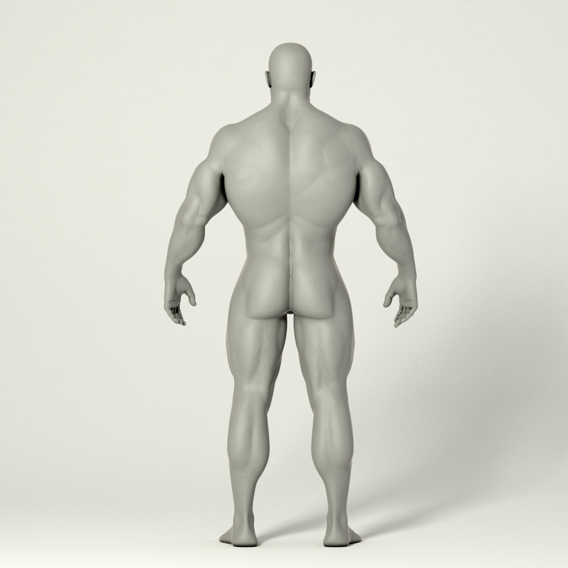 آناتومی - تصویر 2147