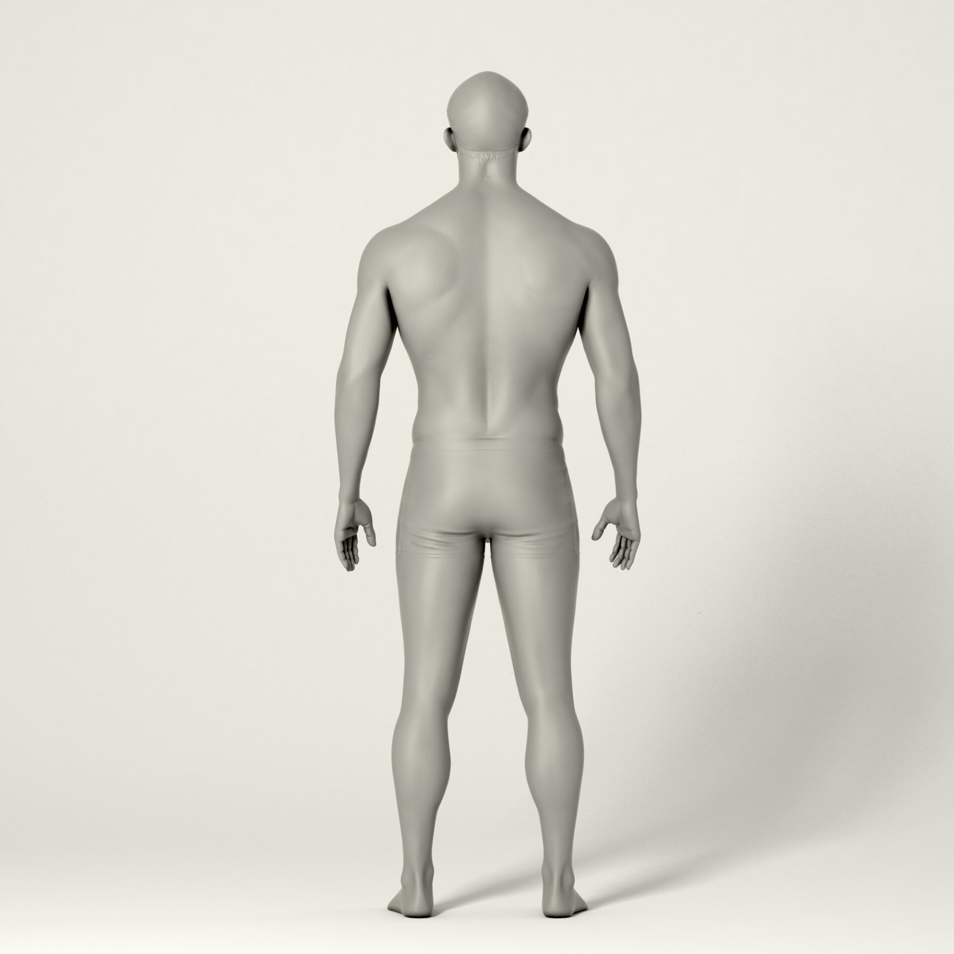 آناتومی - تصویر 2150