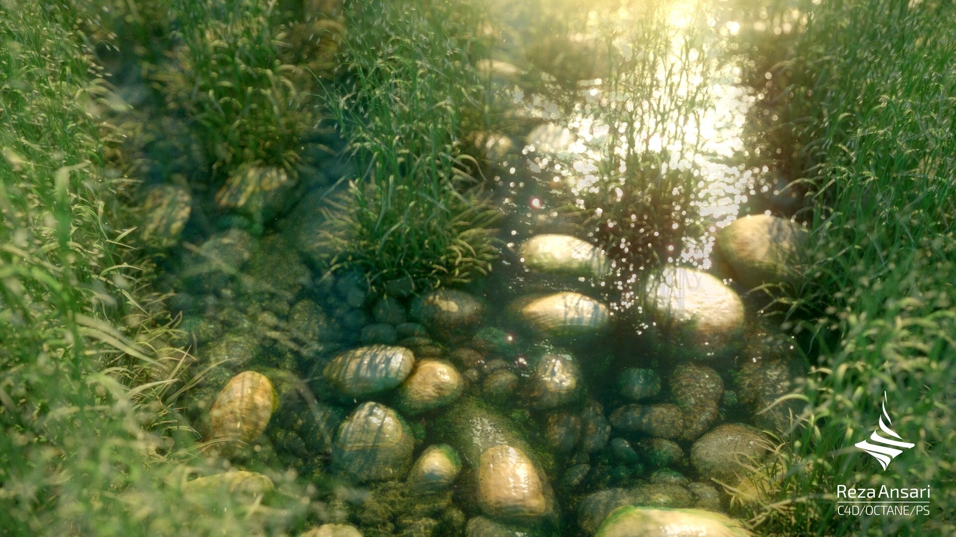 برکه - تصویر 2039