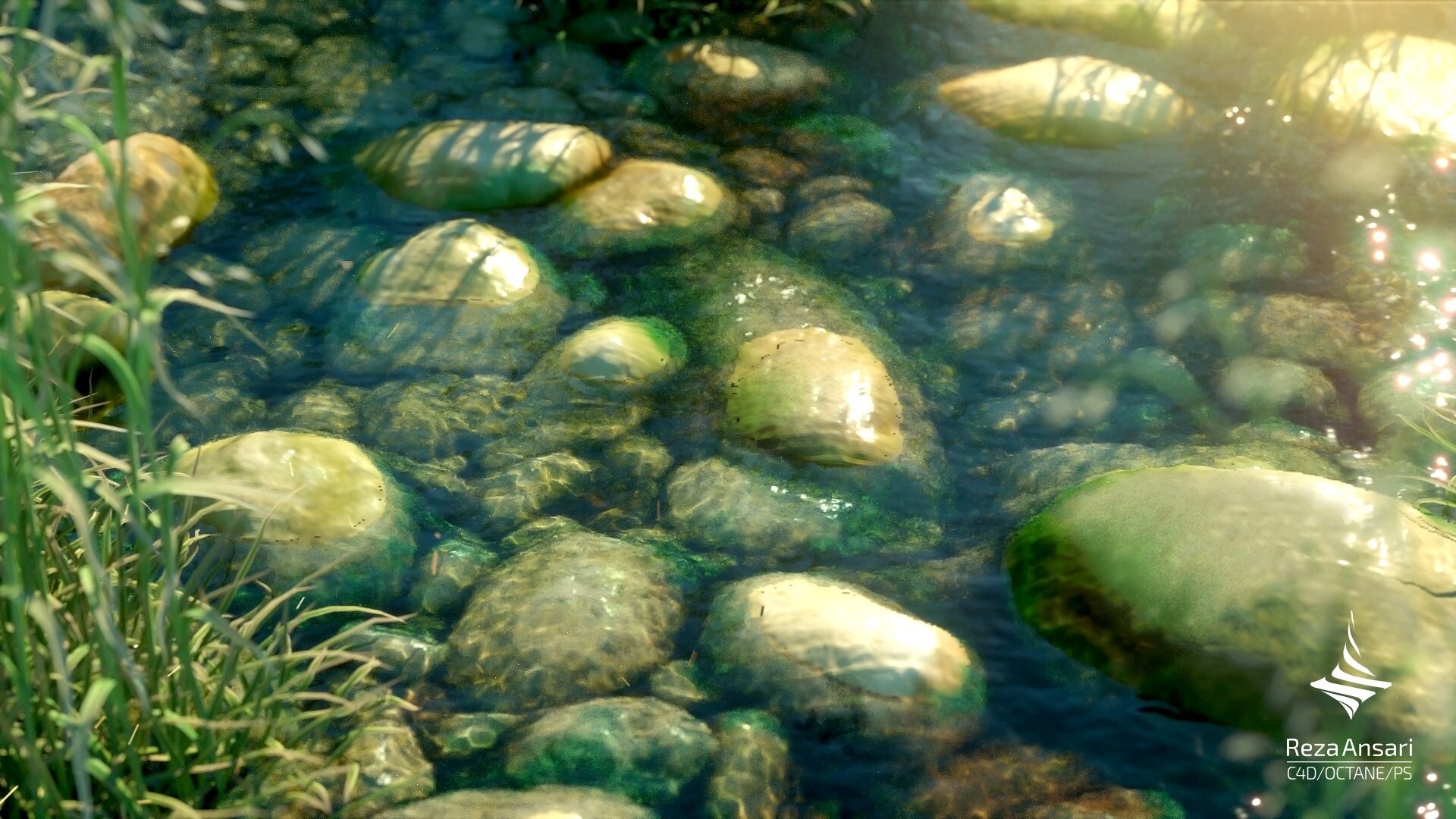 برکه - تصویر 2040