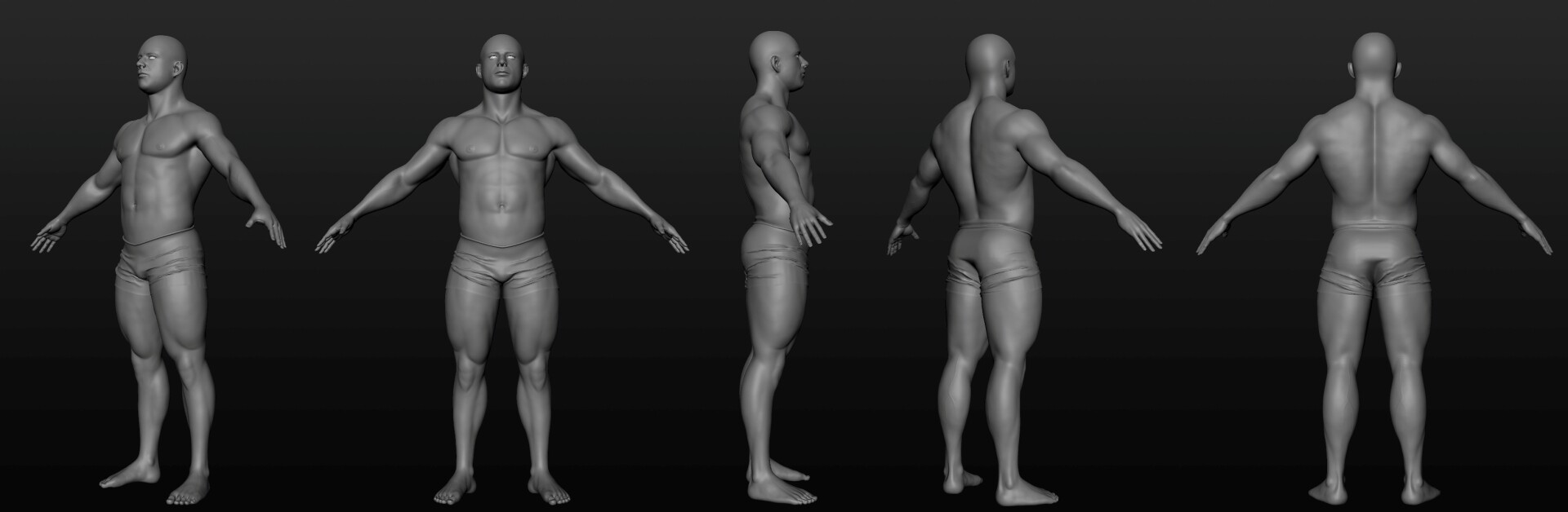 آناتومی - تصویر 2066