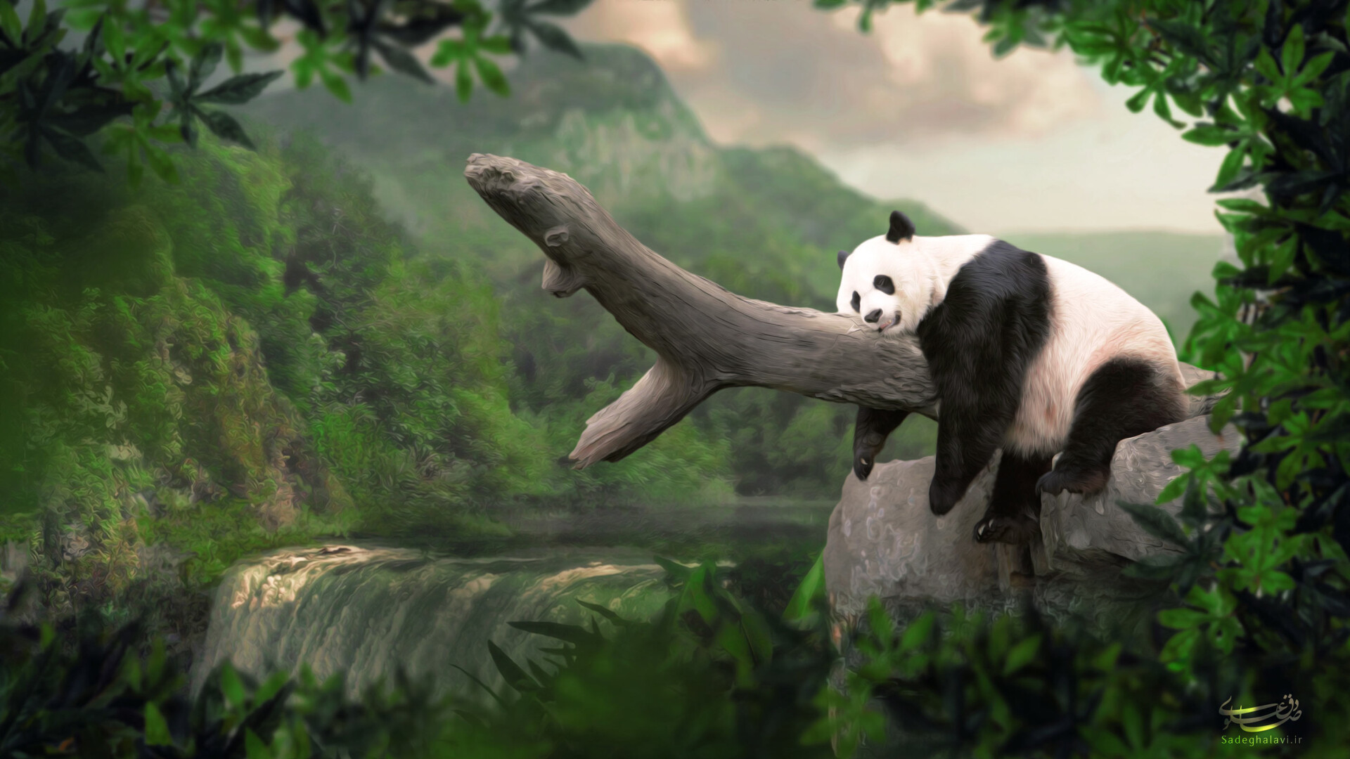 ♦♦♦▬ پــانــدا ▬♦♦♦ - تصویر 823