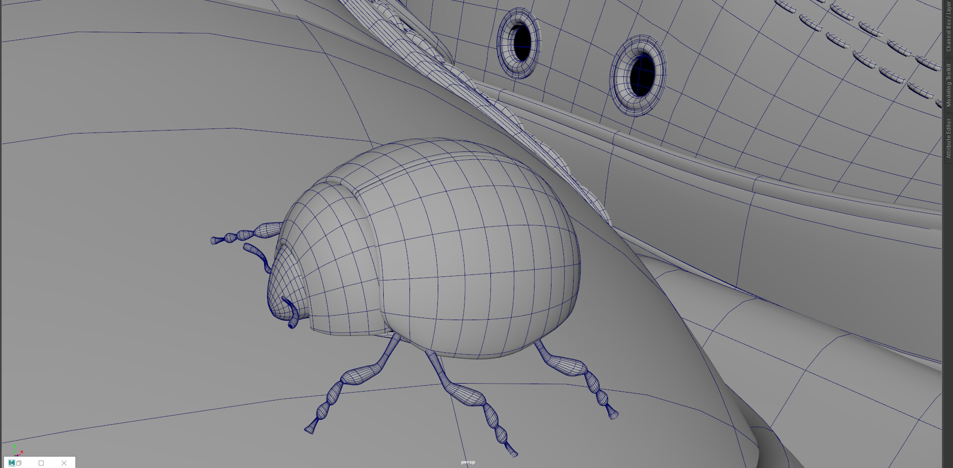 Live the Life - تصویر 591