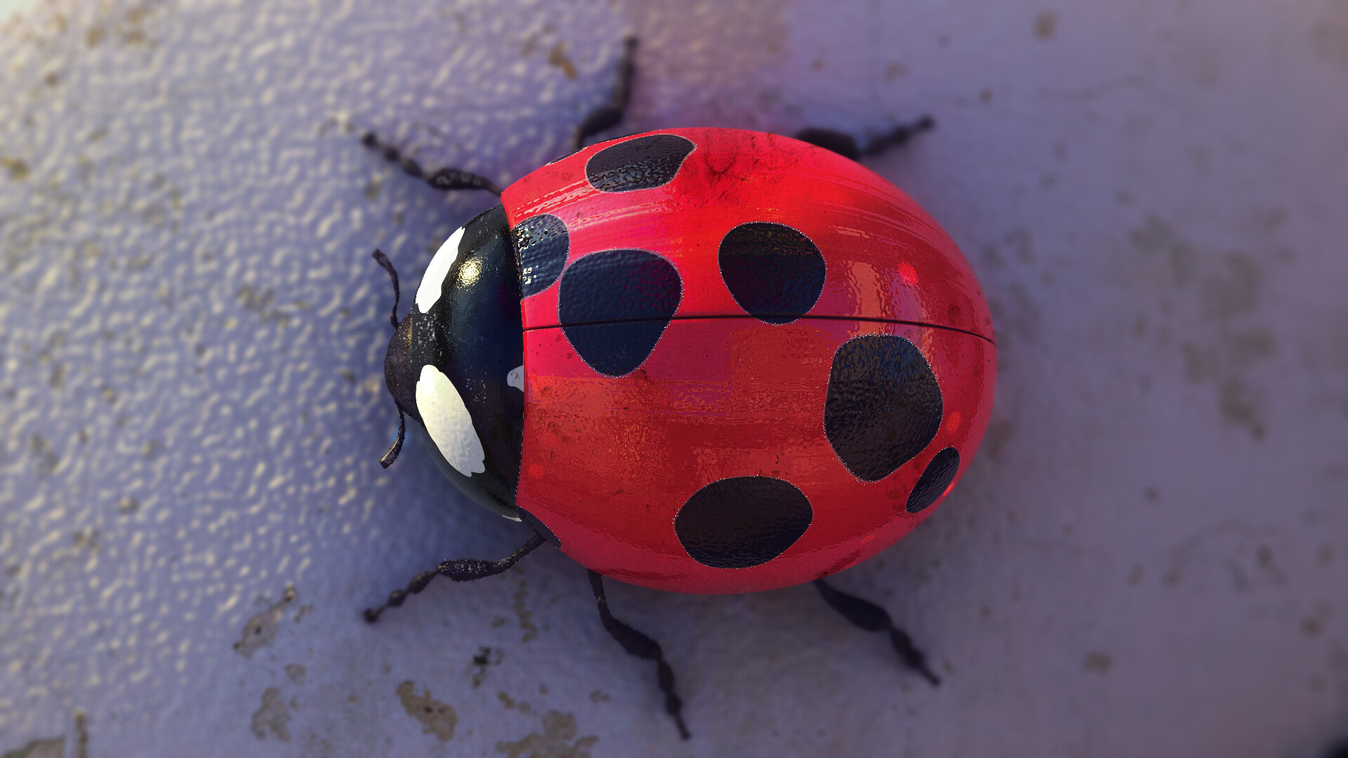 Live the Life - تصویر 592