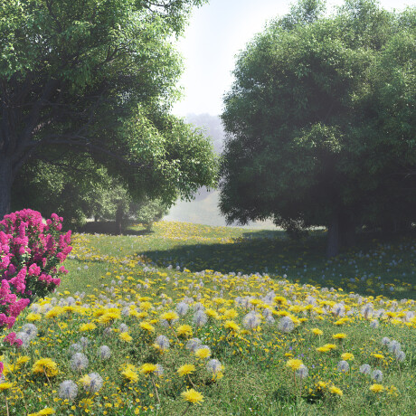 Landscape Scene