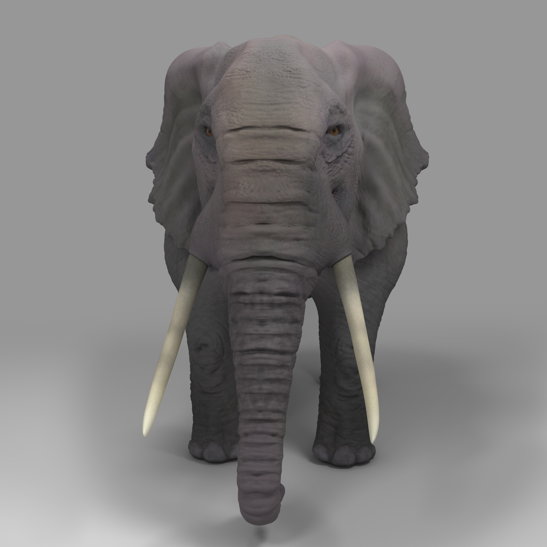realistic elephant - تصویر 146