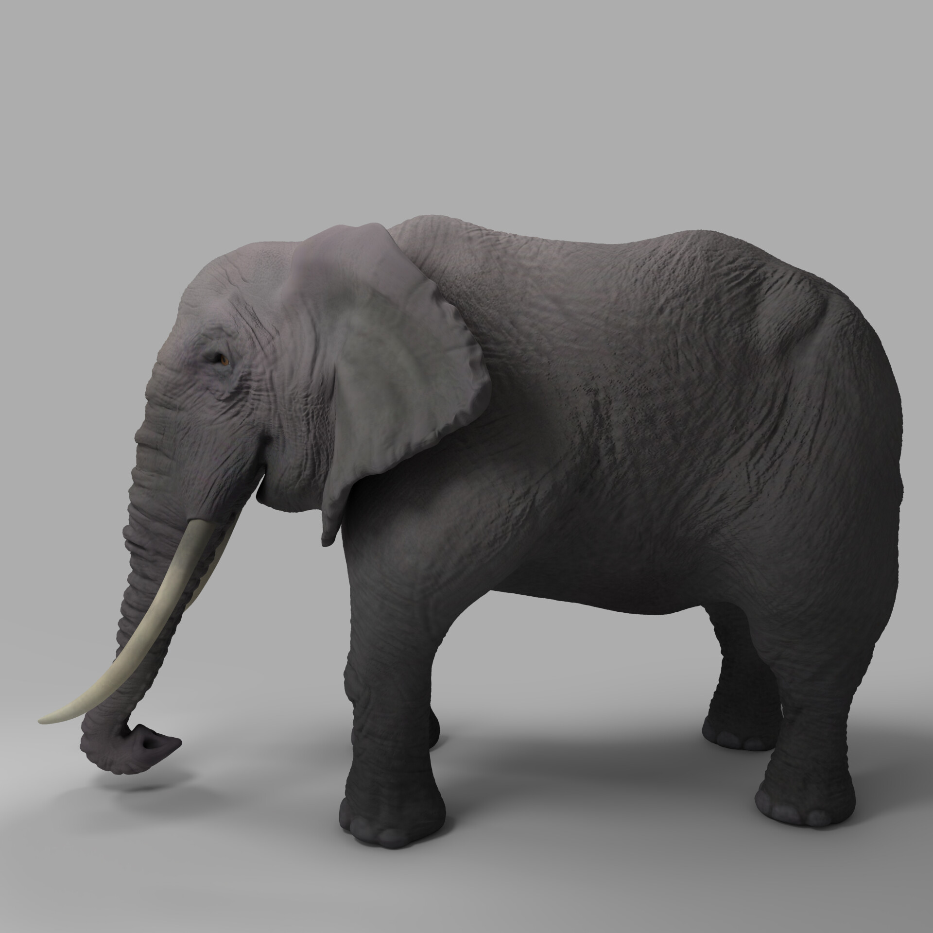 realistic elephant - تصویر 147