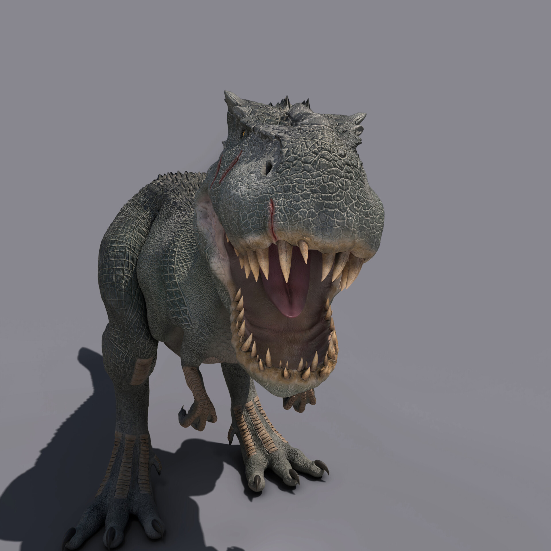 V_rex - تصویر 180