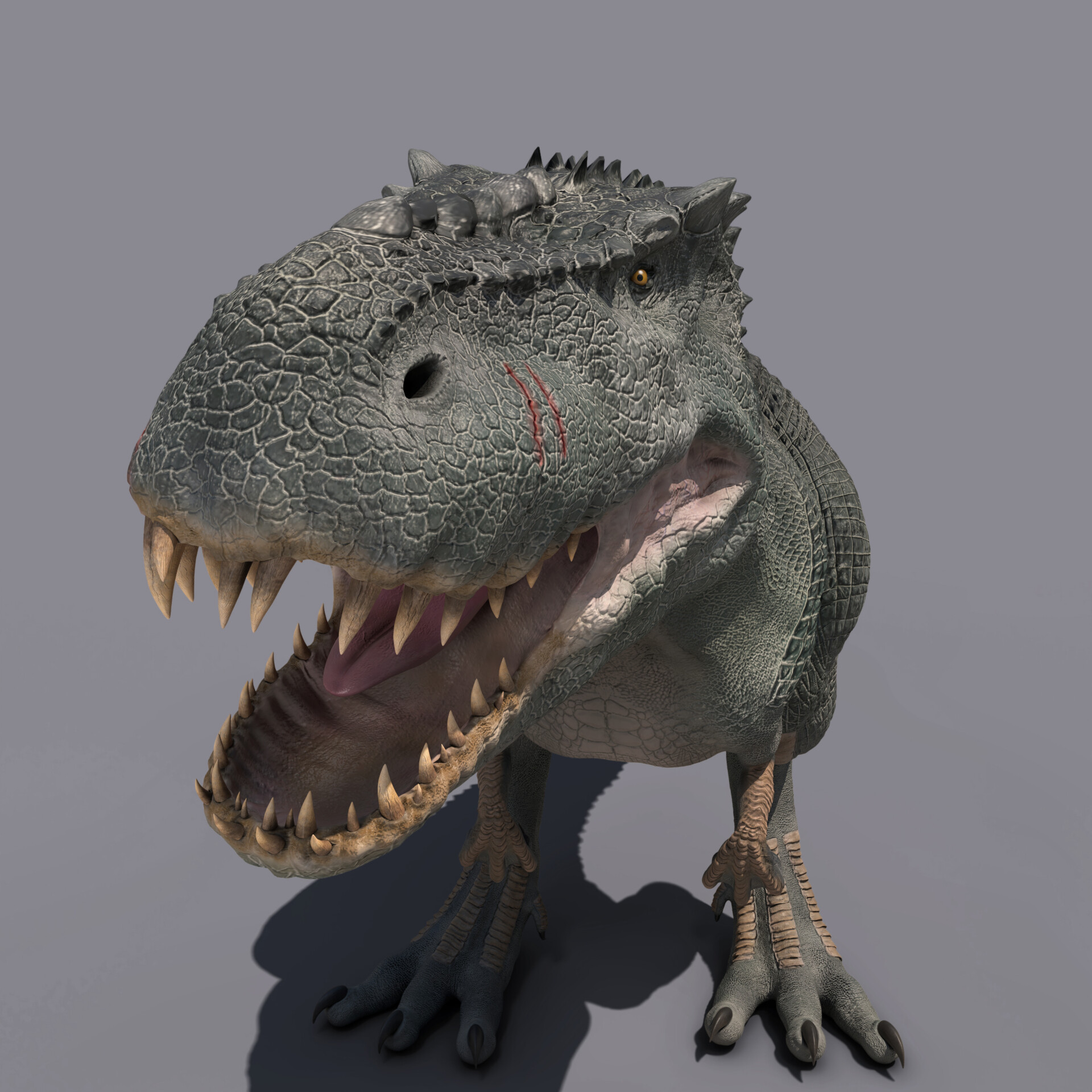 V_rex - تصویر 181