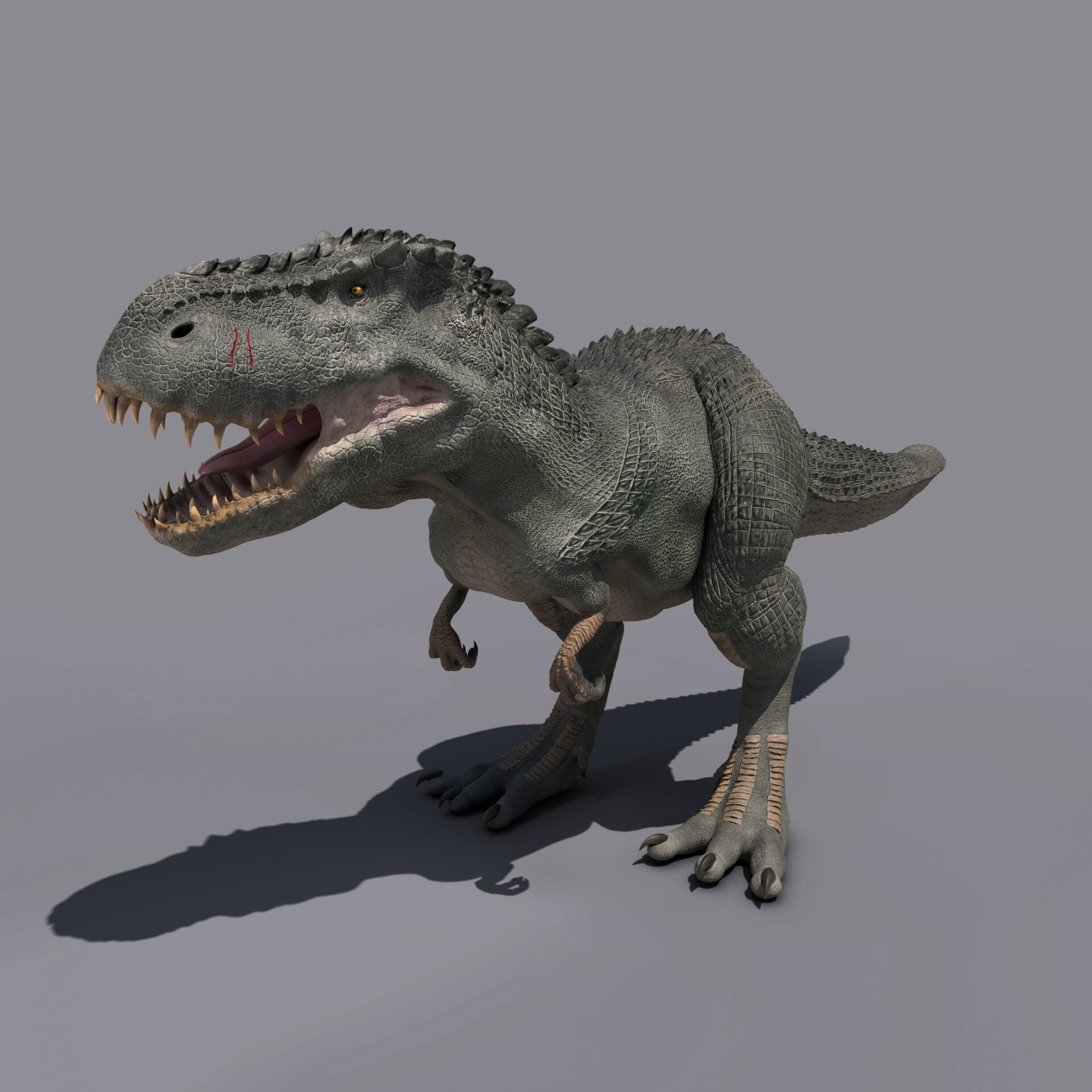 V_rex - تصویر 183