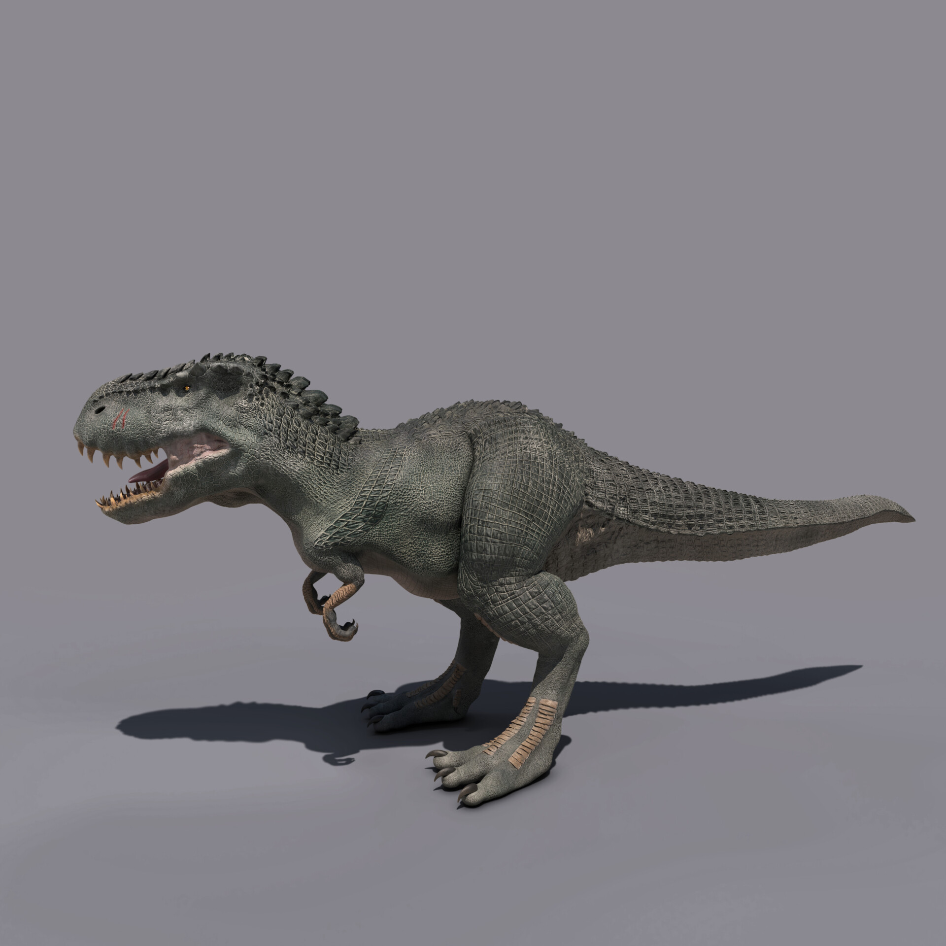 V_rex - تصویر 184