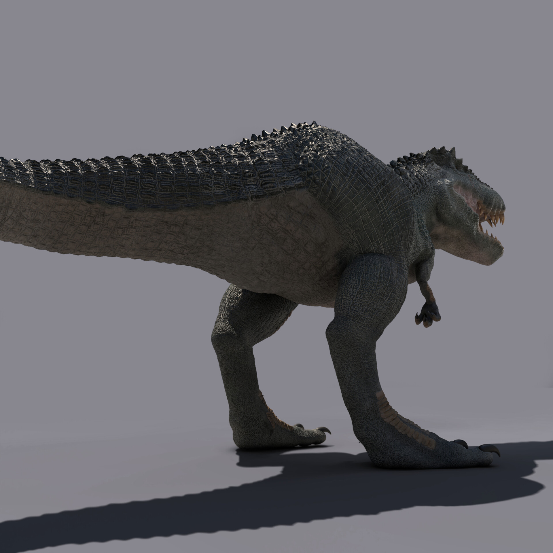 V_rex - تصویر 186