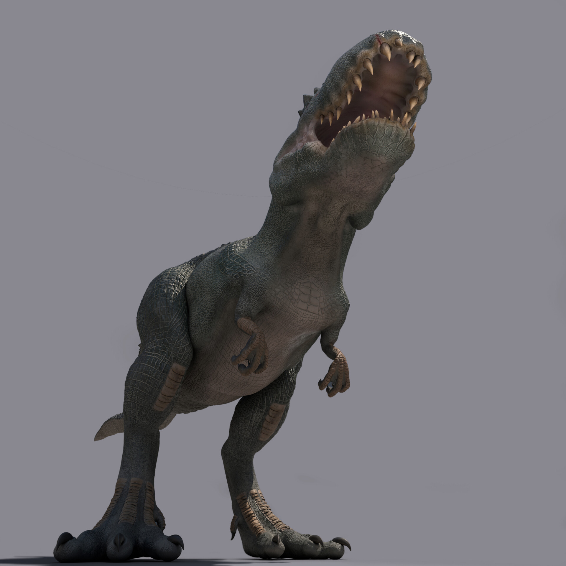 V_rex - تصویر 189