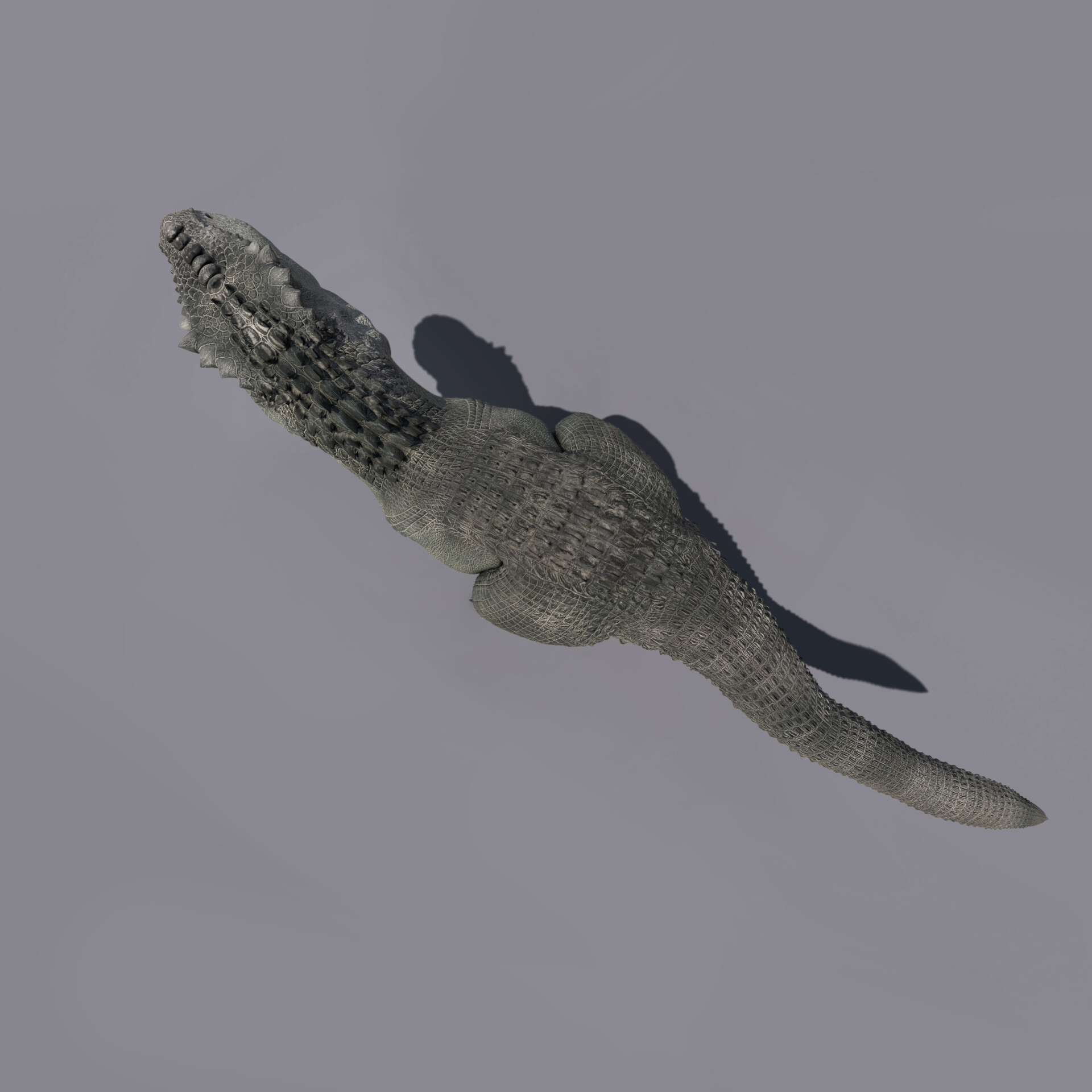 V_rex - تصویر 190