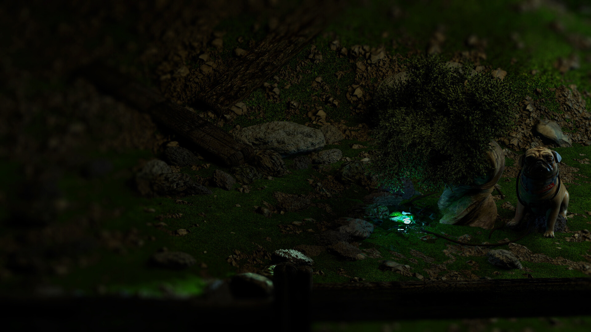 نورپردازی و رندر طبیعت - تصویر 7036